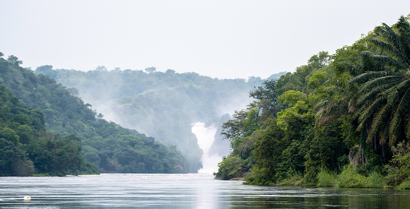 Dynamic Content Image